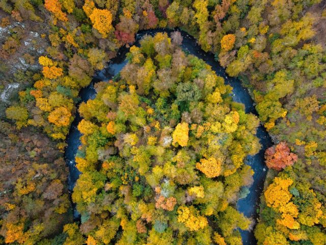 Dron – fotografie č. 1, autor Jiří Polehla