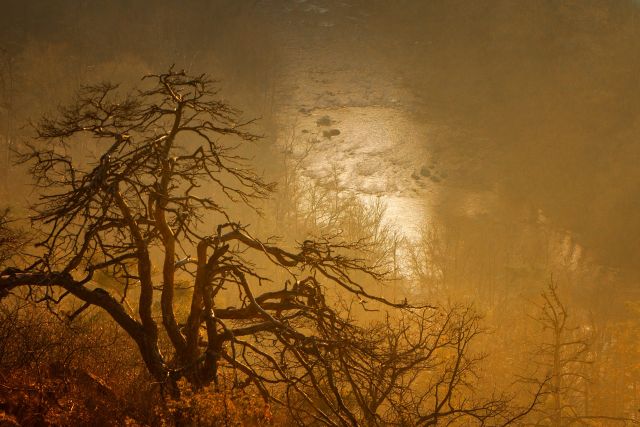 Jihlavka – fotografie č. 5, autor Jiří Polehla
